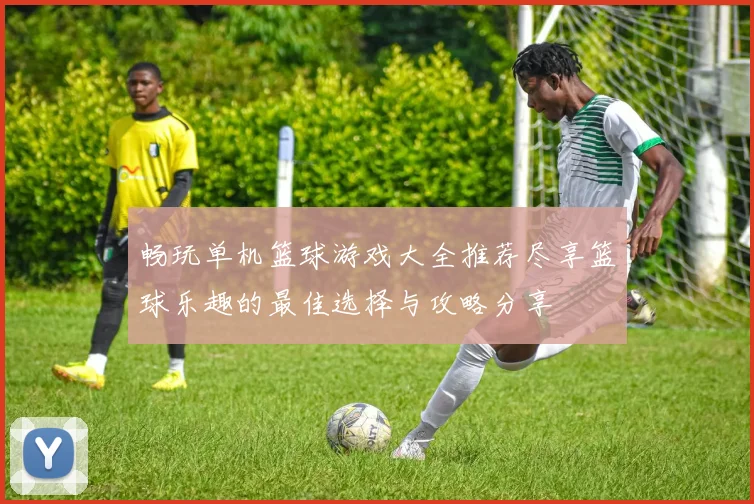 畅玩单机篮球游戏大全推荐尽享篮球乐趣的最佳选择与攻略分享