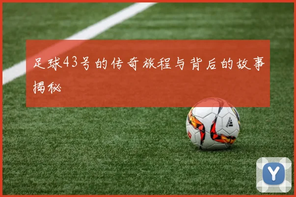 足球43号的传奇旅程与背后的故事揭秘