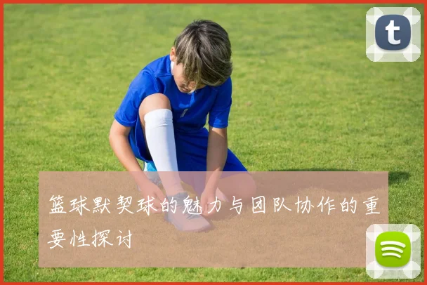 篮球默契球的魅力与团队协作的重要性探讨