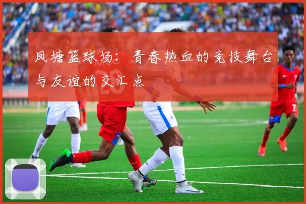 凤塘篮球场：青春热血的竞技舞台与友谊的交汇点