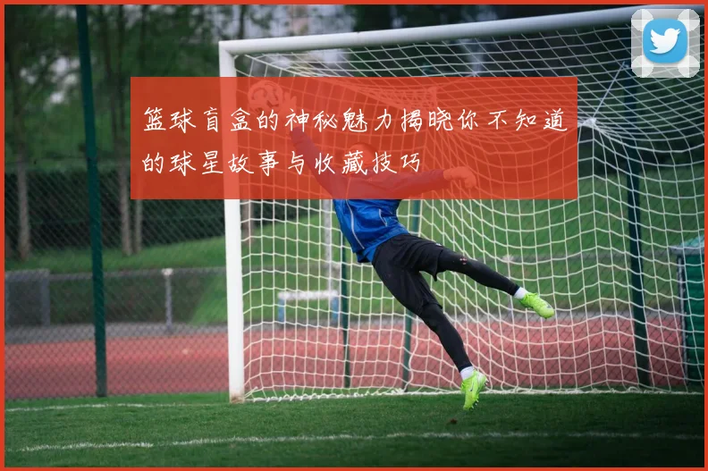 篮球盲盒的神秘魅力揭晓你不知道的球星故事与收藏技巧